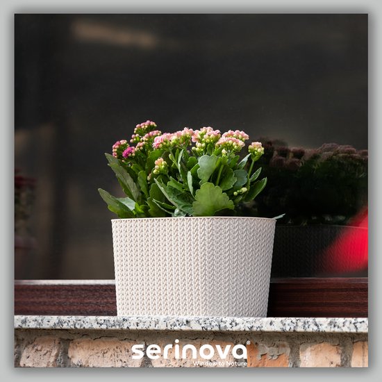 Set van 2 ovale bloempotten 30 cm - beige met wateropvang