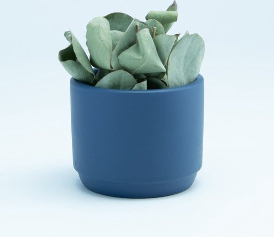 Set van 6 kleine keramische bloempotjes - marineblauw
