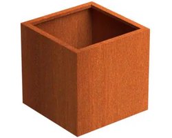 Adezz Cortenstaal Plantenbak 50x50x50cm - Zonder Bodem