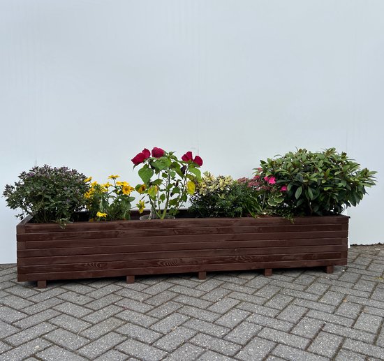 Amishout Houten Plantenbak 200x40x36 cm - Buiten Bruin