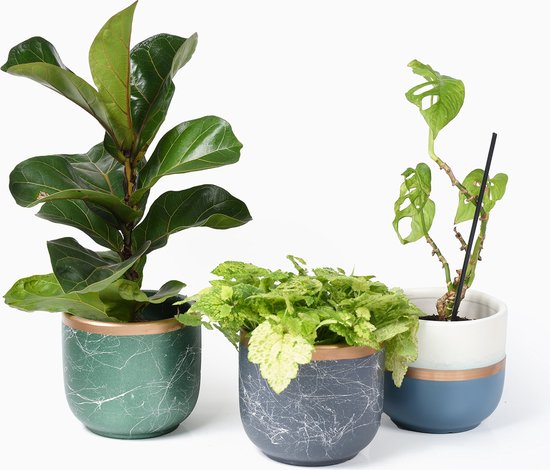 Set 3 Keramische Bloempotten Ø16 cm met Gouden Rand