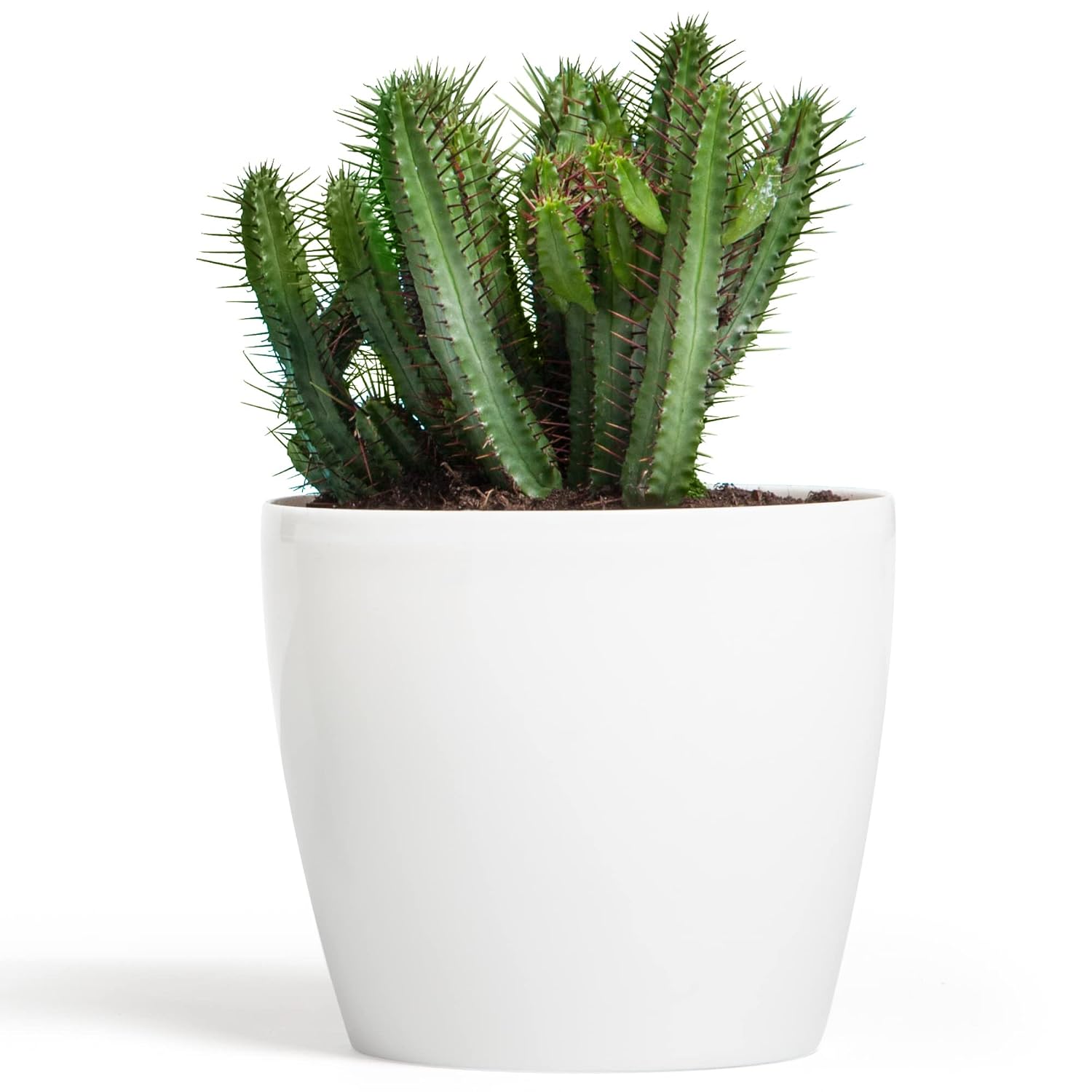 Botle ronde glanzende kunststof plantenpot wit Ø18 cm
