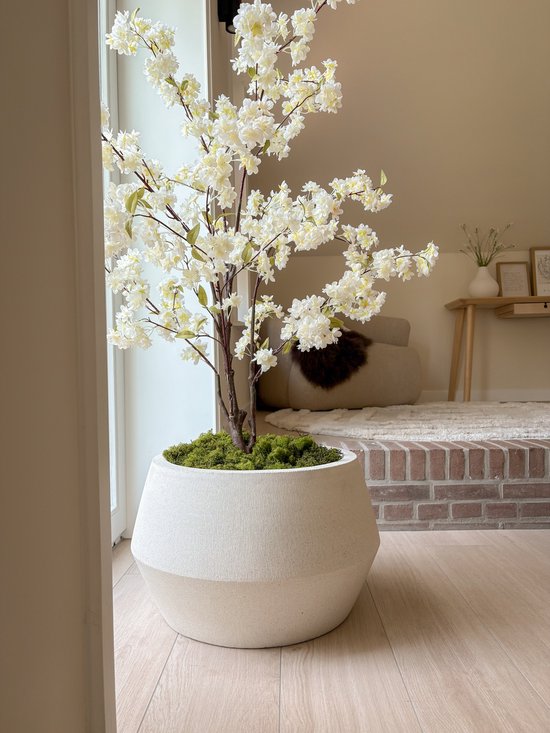 Causeway Bay Grote Zeshoekige Plantenpot Zandwit 53x32 cm