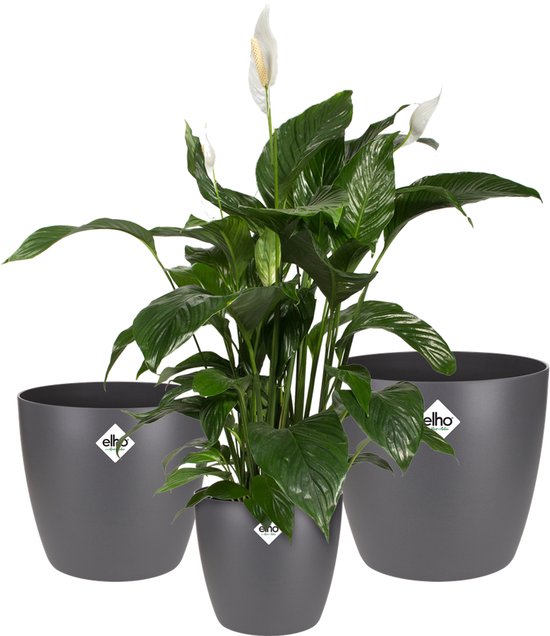 Elho Brussels 100% gerecycled set 3 potten Ø16/18/20 Antraciet