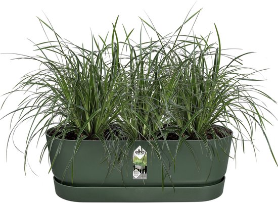 Elho Greenville 52 Balkonbak - 100% Gerecycled, Bladgroen