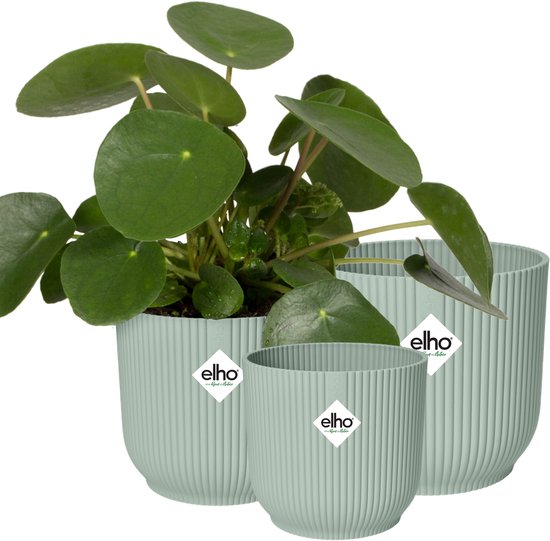 Elho Vibes Fold Set 3 Eco Plantenpotten Sorbet Ø14-18cm