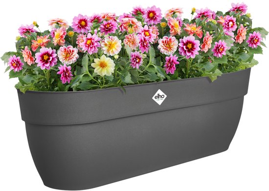 Elho Vibia Campana XL Balkonbak 56 cm Antraciet gerecycled
