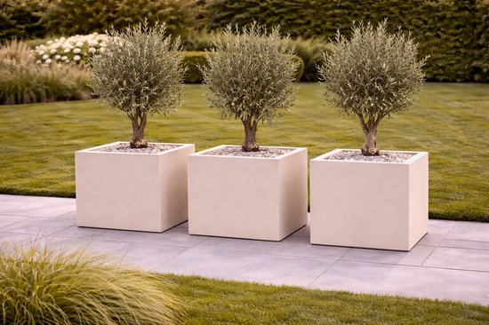 Fiberstone plantenbak vierkant 65x65x65 cm beige
