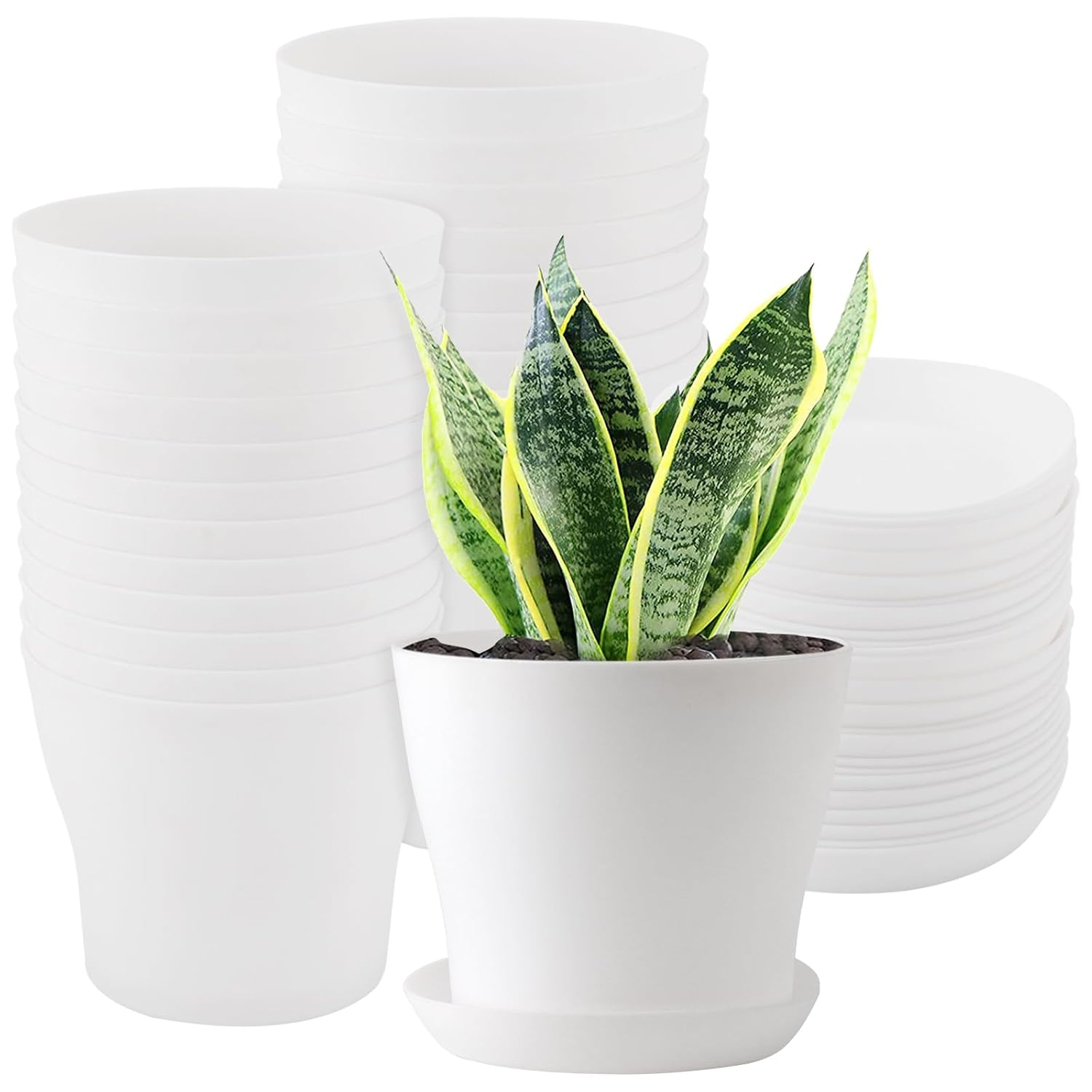 Set van 24 witte plastic bloempotjes 10 cm met onderzetters