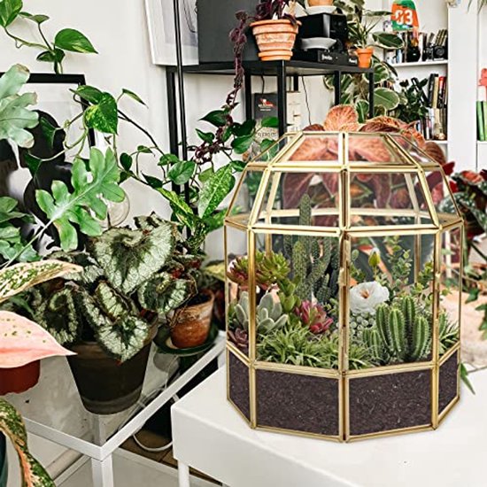 Handgemaakt Geometrisch Glazen Terrarium voor Succulenten