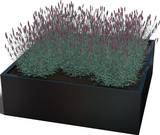 Gepoedercoat plantenbak vierkant 120x120x30 cm antraciet