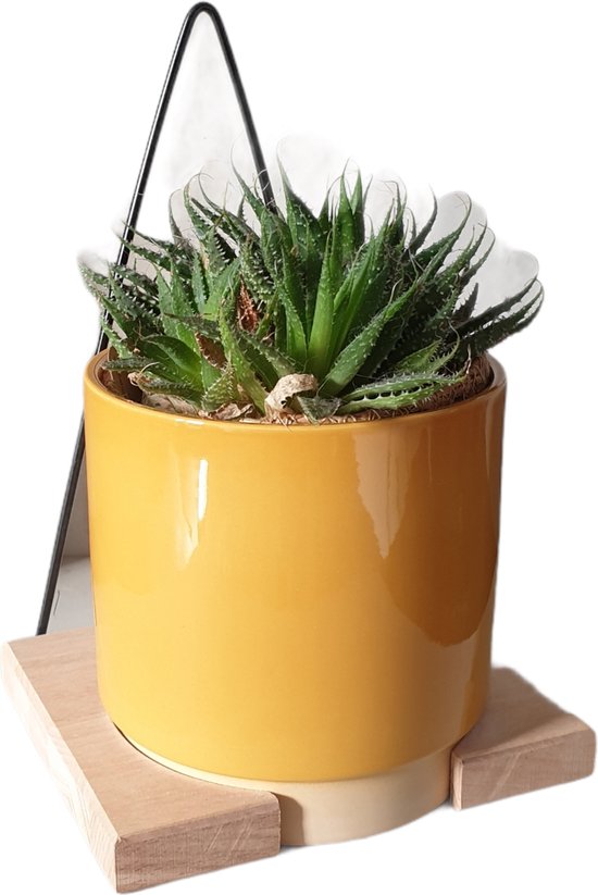 Gina Da Keramiek Muurbloempot Oker 13x13 cm met hout-staal