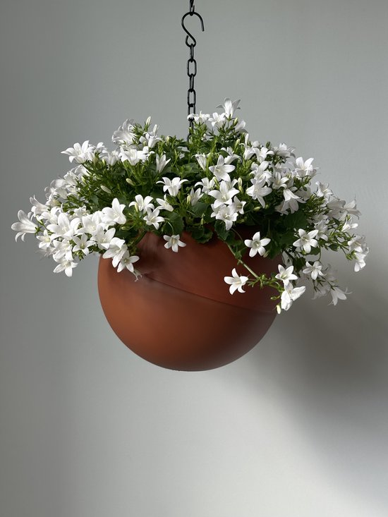 Globee Terracotta Bloempot - Stijlvolle Plantenpot