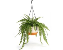 Hangpot Bloempot Wit/Creme Ø21 cm - Met Waterreservoir