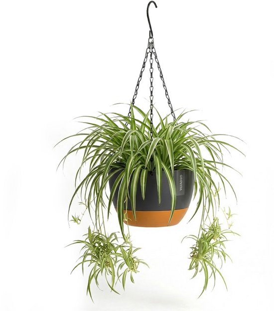 Zwarte Hangpot/Bloempot Ø21 cm met Waterreservoir