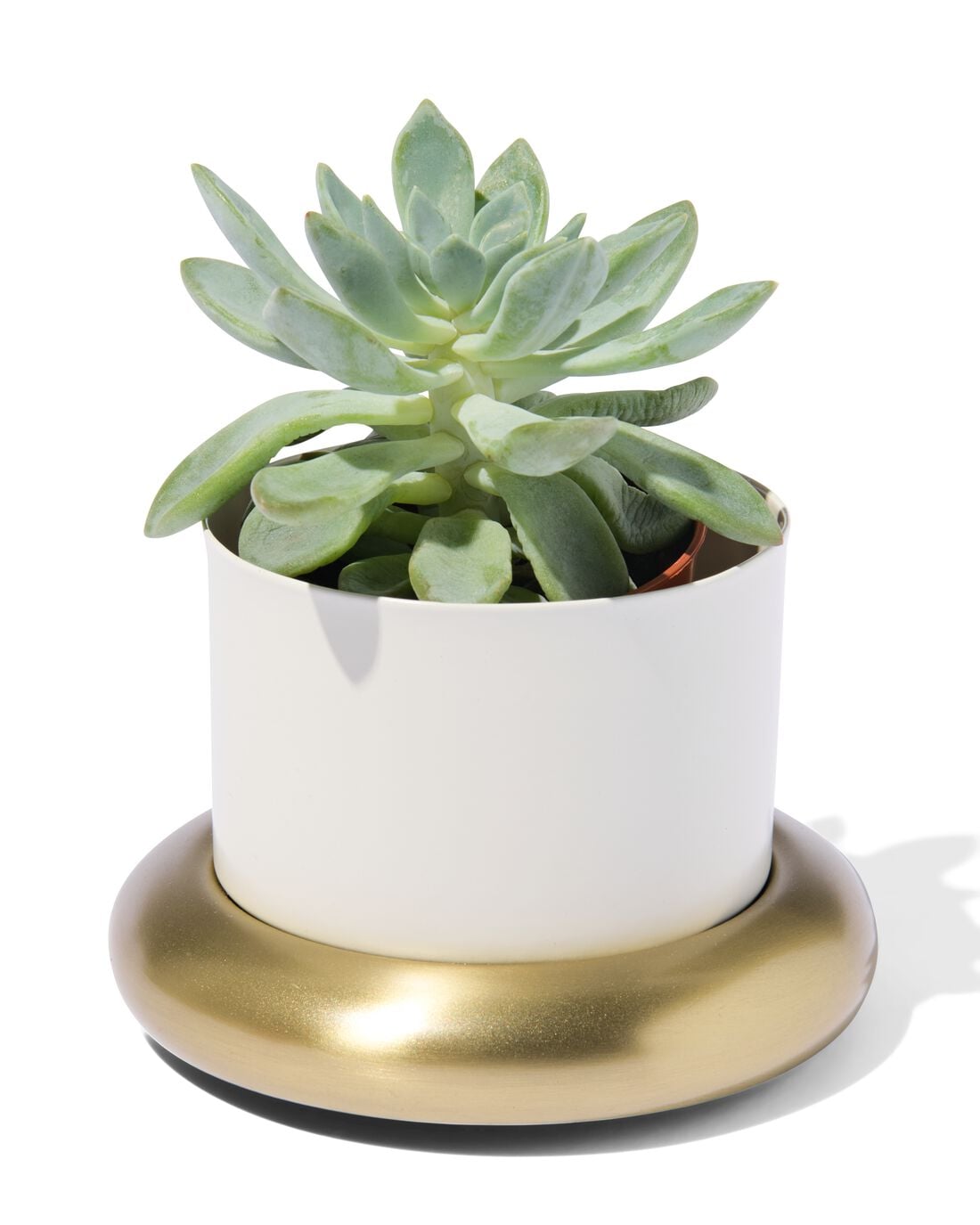 HEMA HEMA Bloempot Ø10x6.5cm Metaal Met Schotel Wit-goud (wit),