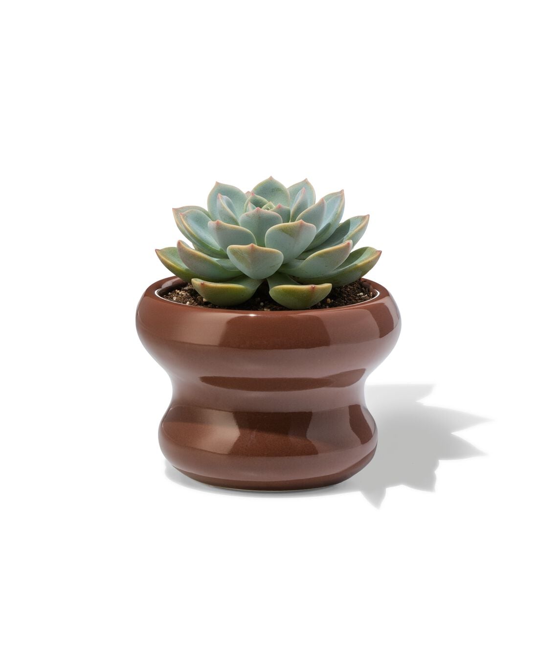 HEMA HEMA Bloempot ⌀13x9cm Keramiek Blob Bruin (donkerbruin),