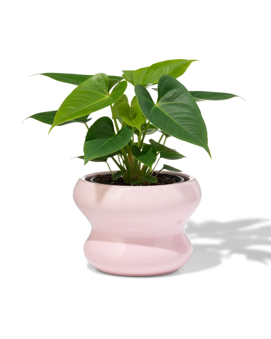 HEMA HEMA Bloempot ⌀13x9cm Keramiek Blob Spikkel Roze (roze),