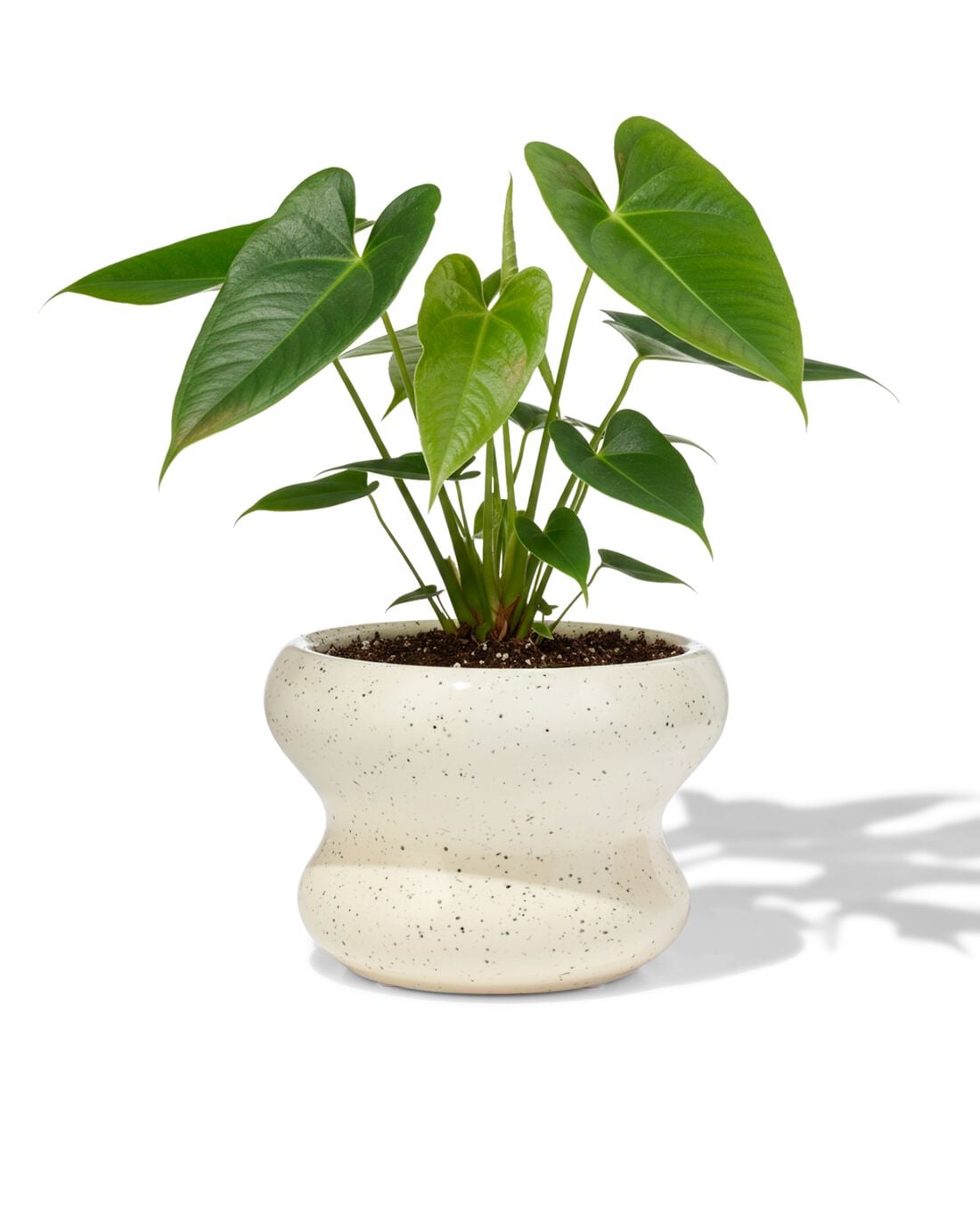 HEMA HEMA Bloempot ⌀13x9cm Keramiek Blob Spikkel Wit (wit),