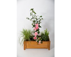 Rechthoekige Houten Plantenbak - Modern & Duurzaam