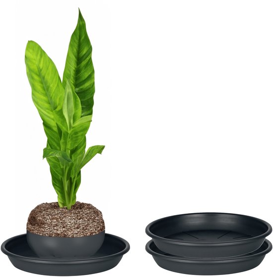 Juypal Plantenschotel 2x Ø30,5 cm Zwart - Kunststof