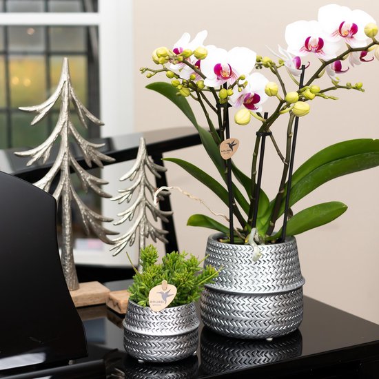 Kolibri Home Groove keramische bloempot Ø9 cm - zilver