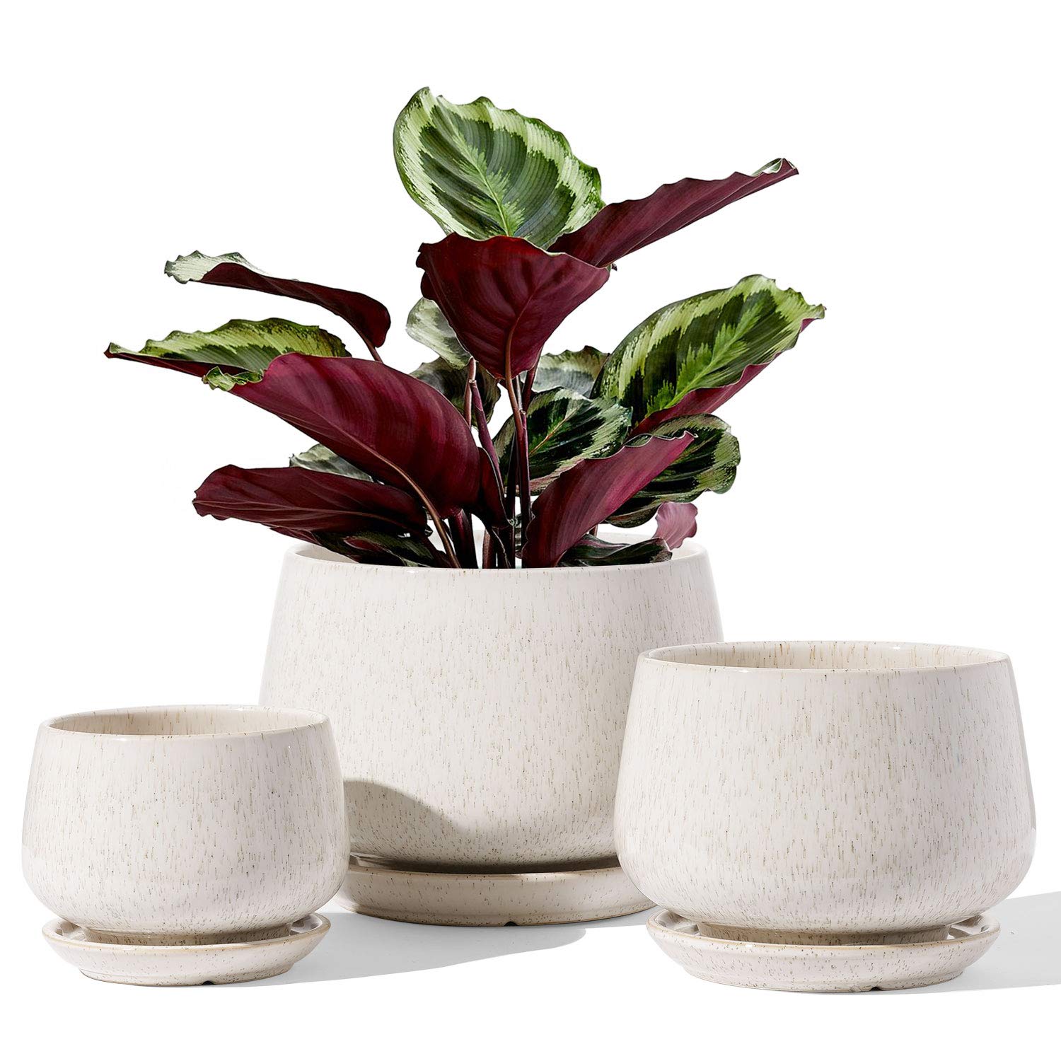 LE TAUCI Keramische Bloempotten Set 3 - Beige, met Afvoergat