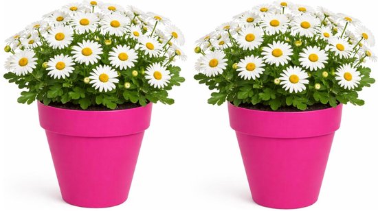 Mega Collections Plantenpot/bloempot - 2x - kunststof - fuchsia roze - binnen/buiten - D20 x H17 cm