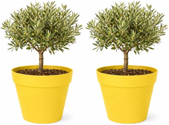 Set van 2 gele kunststof plantenpotten Ø34xH33 cm