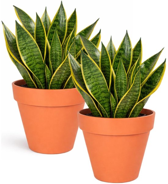 Set van 2 oranje kunststof plantenpotten 29 x 28 cm
