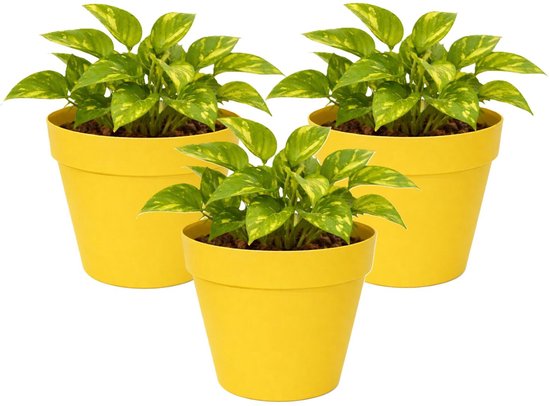 Mega Collections Set 3 gele plastic plantenpotten 20×17 cm