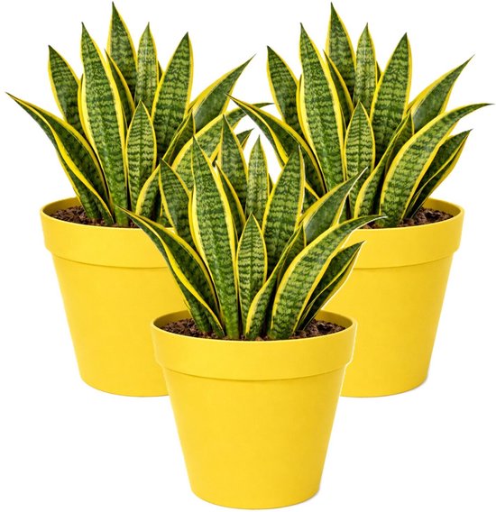Mega Collections 3x gele kunststof plantenpotten Ø29xH28 cm