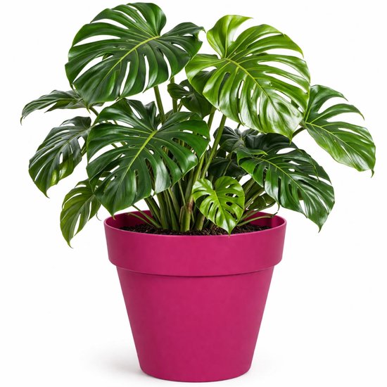 Mega Collections Plantenpot / bloempot - kunststof - fuchsia roze - binnen/buiten - D39 x H35 cm