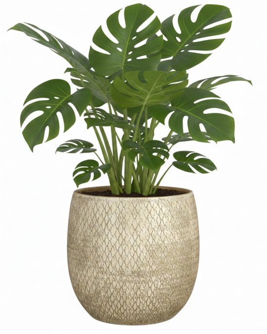 Mica Decorations Bloempot Madeira 32x32 cm creme/terracotta