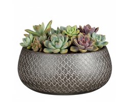 Madeira design bloempot/schaal 13x27 cm - zilver/terracotta