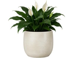 Keramische bloempot Porto (Mica) wit geribbelde 28x29 cm