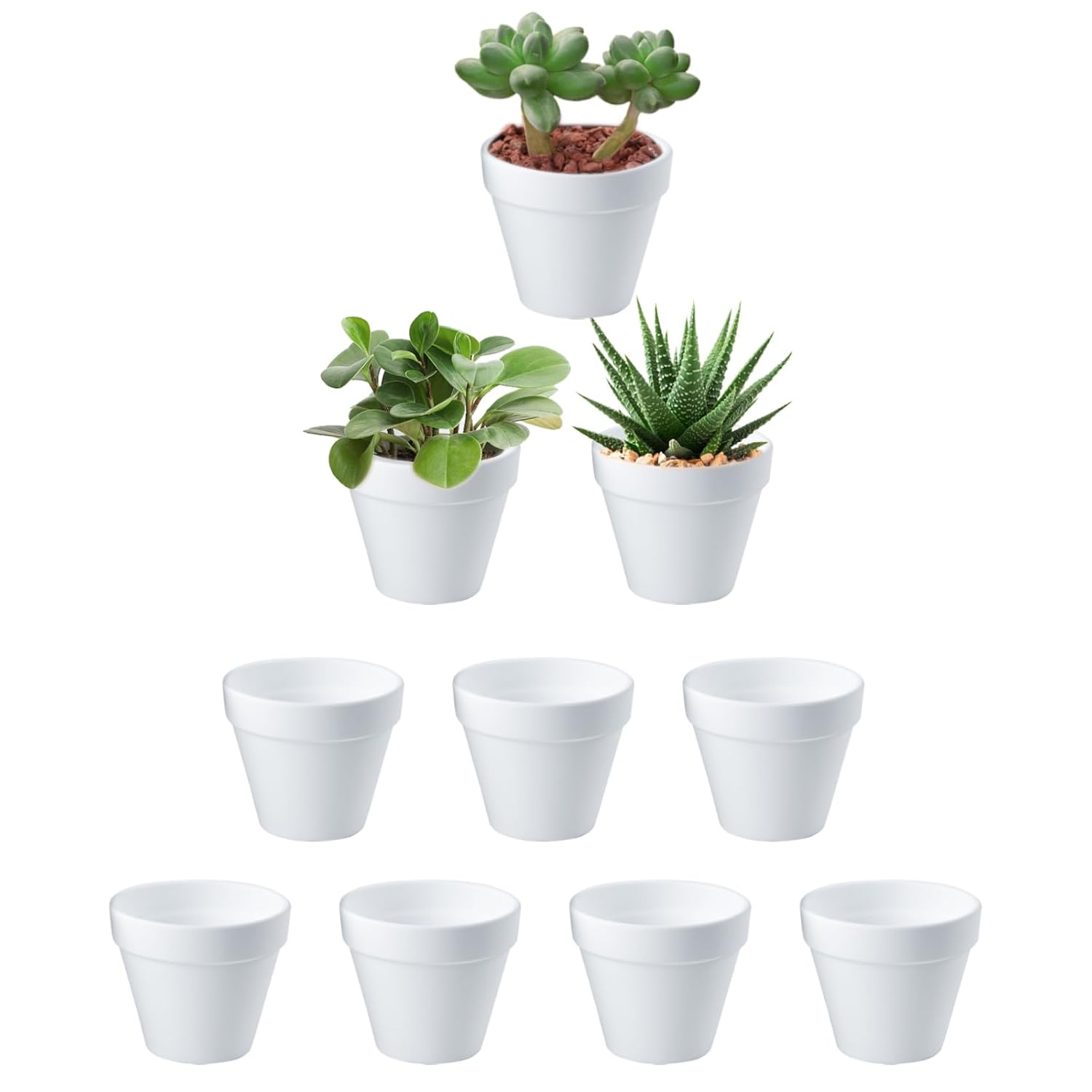 Set van 10 witte mini bloempotjes 6x7 cm voor succulenten