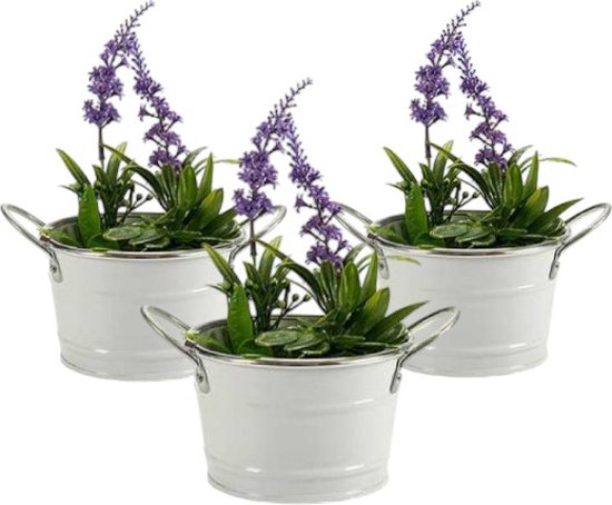 Set van 3 zinken bloempotten met handvat 12 x 16 cm
