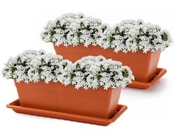 PlasticForte Plantenbak Rechthoek 50×18×15 - 2x terracotta