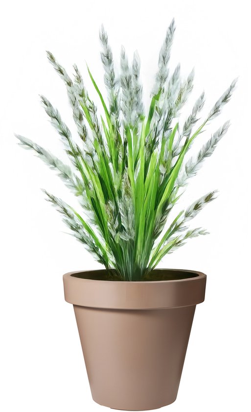 Pro Garden Bloempot Rond Ø30 cm Mokka Kunststof Buiten