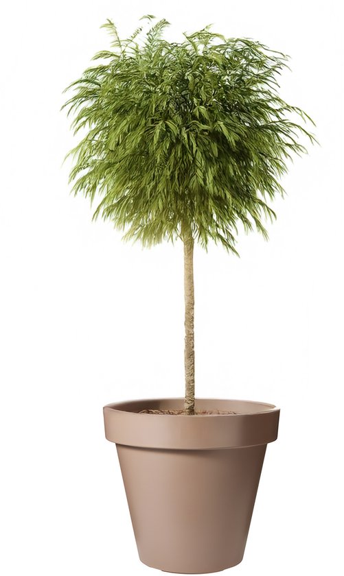 Pro Garden Ronde Plantenpot Mokka Ø50 cm - Kunststof Buiten