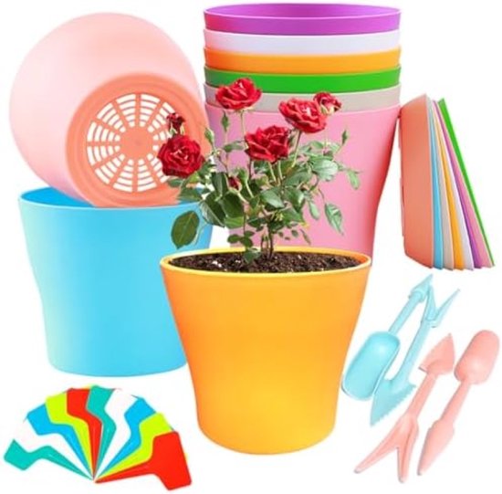 24-delige set kleurrijke kamerplanten incl. accessoires