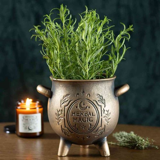 Herbal Magic Bronzen Terracotta Ketel Plantenpot
