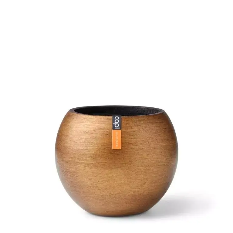 Vaas bol Retro 62x48 goud