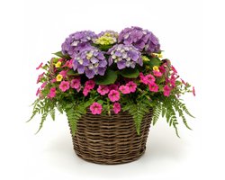 VD Leeden Gevlochten Rotan Plantenmand Rond 40x30 cm Bruin