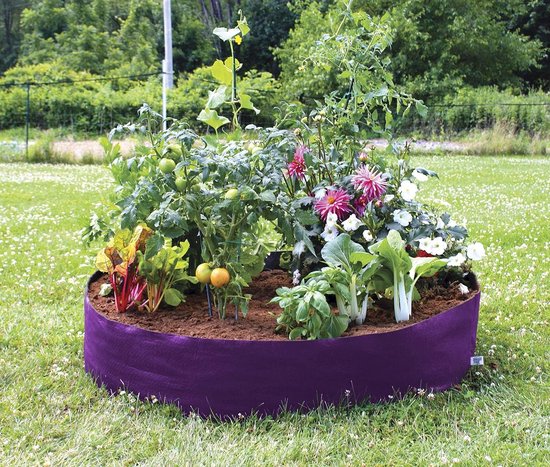 Verhoogde Bloembak Mini Violet met Versteviging
