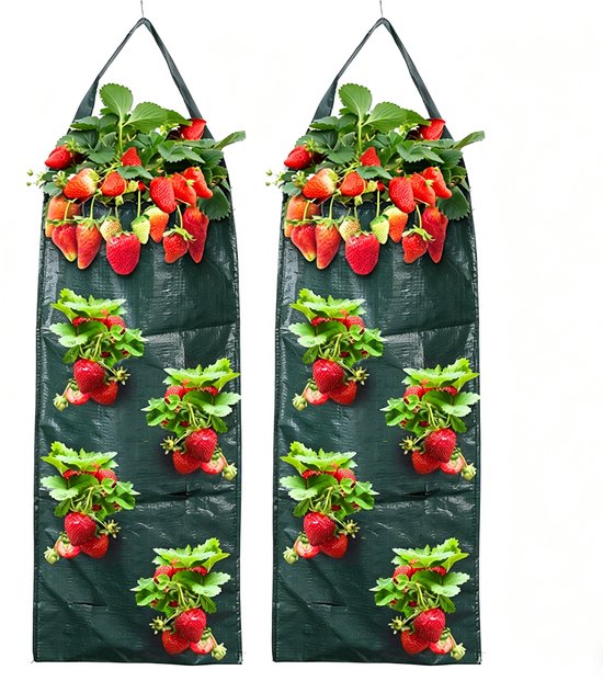 Verticale plantenzakken 2 st. 8 gaten 60x25cm voor groenten