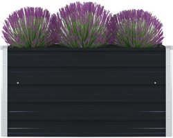Verhoogde Gegalvaniseerde Plantenbak 100x100x45 Antraciet