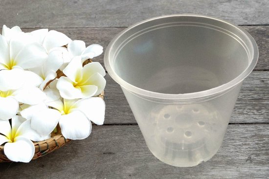 10x Transparante Orchidee Potten Ø12 cm