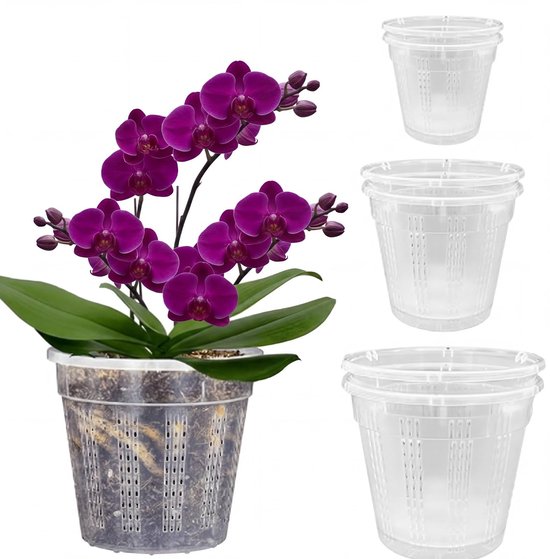 BeiJingLiangPin Set 6 transparante orchideeënpotten 15 cm